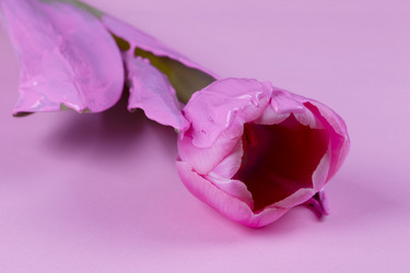 Similar image 21992448