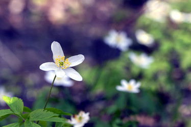 Similar image 21992512