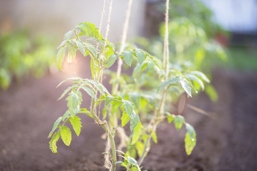 Similar image 21992521