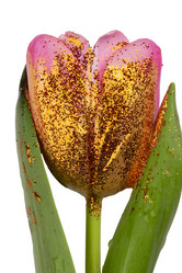 Similar image 21992535