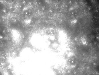 Similar image 22005542