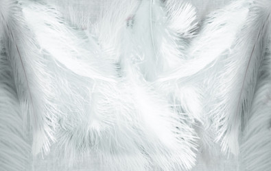 Similar image 21992751