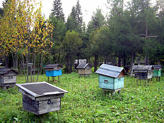 Similar image 21995448