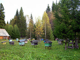 Similar image 21995449