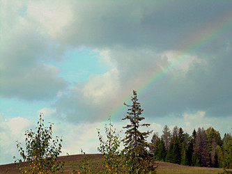 Similar image 21995451