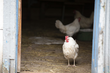 Similar image 21992789