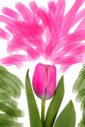 Similar image 21992811