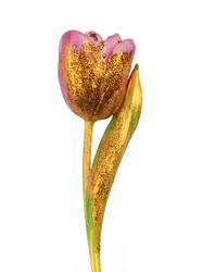 Similar image 21992815