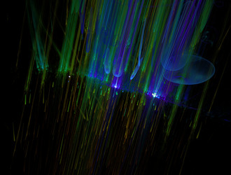 Similar image 22004931