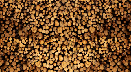 Similar image 21992580