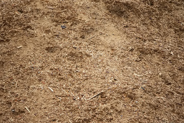 Similar image 21992583