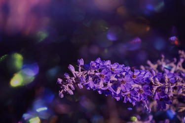 Similar image 21992585