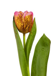 Similar image 21992824