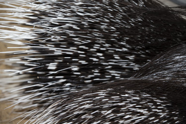 Similar image 21992612