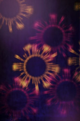 Similar image 21992614