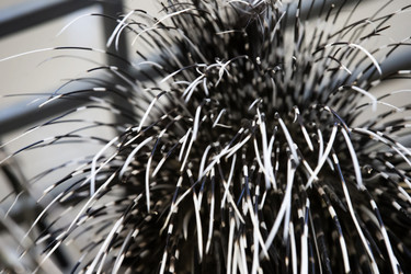 Similar image 21992615