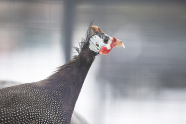 Similar image 21992898