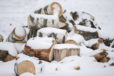 Similar image 21992899