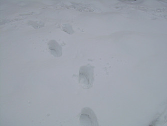 Similar image 21995454