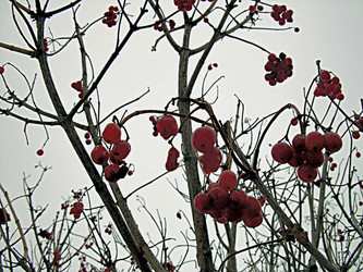 Similar image 21995457