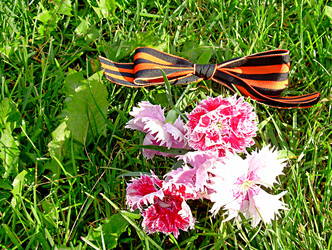 Similar image 21995460