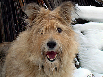 Similar image 21995466