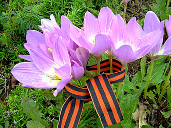 Similar image 21995467