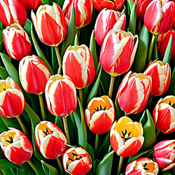 Similar image 21995472