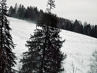 Similar image 21995474