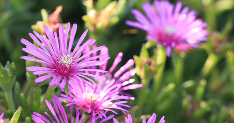 Similar image 21995832