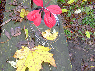 Similar image 21995476