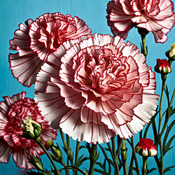 Similar image 21995478