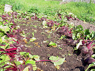 Similar image 21995485