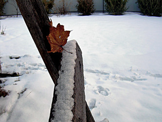 Similar image 21995486