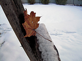 Similar image 21995488