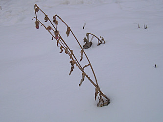 Similar image 21995492