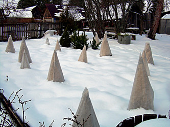 Similar image 21995494
