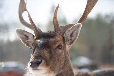 Similar image 22009369