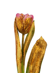 Similar image 22009375