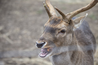 Similar image 22009394