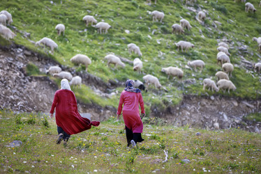 Similar image 22009438