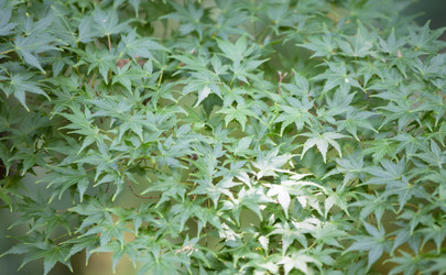 Similar image 22009480