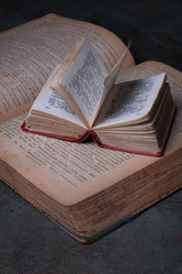 Similar image 21994941