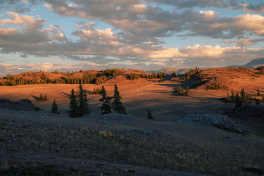 Similar image 22017229