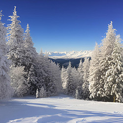 Similar image 21995495