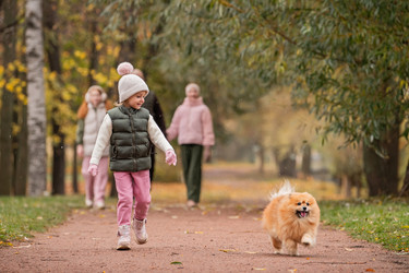 Similar image 22006119