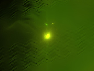 Similar image 22010554