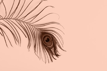 Similar image 22017244