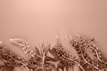 Similar image 22017248