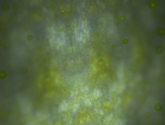 Similar image 22005571